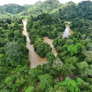 Kể chuyện 2025 - Nhận chuyến đi 2026 | Chia sẻ câu chuyện outdoor của bạn để nhận Trekking & Cycling Nam Cát Tiên miễn phí