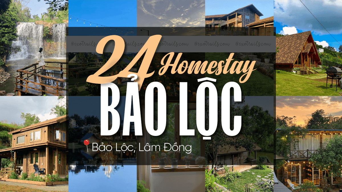24 Homestay Bảo Lộc Cho Bạn Vi Vu Cuối Tuần