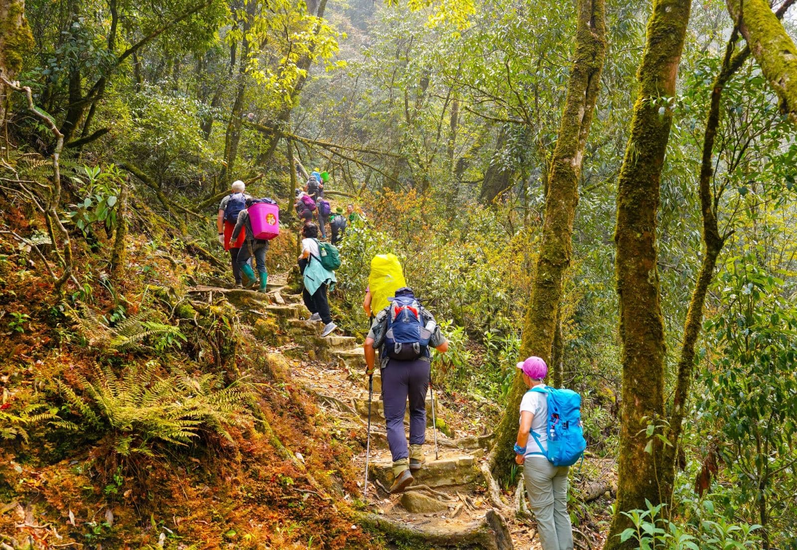 What Your Hiking Style Says About You: 4 Types &amp; The Best Vietnam Trails