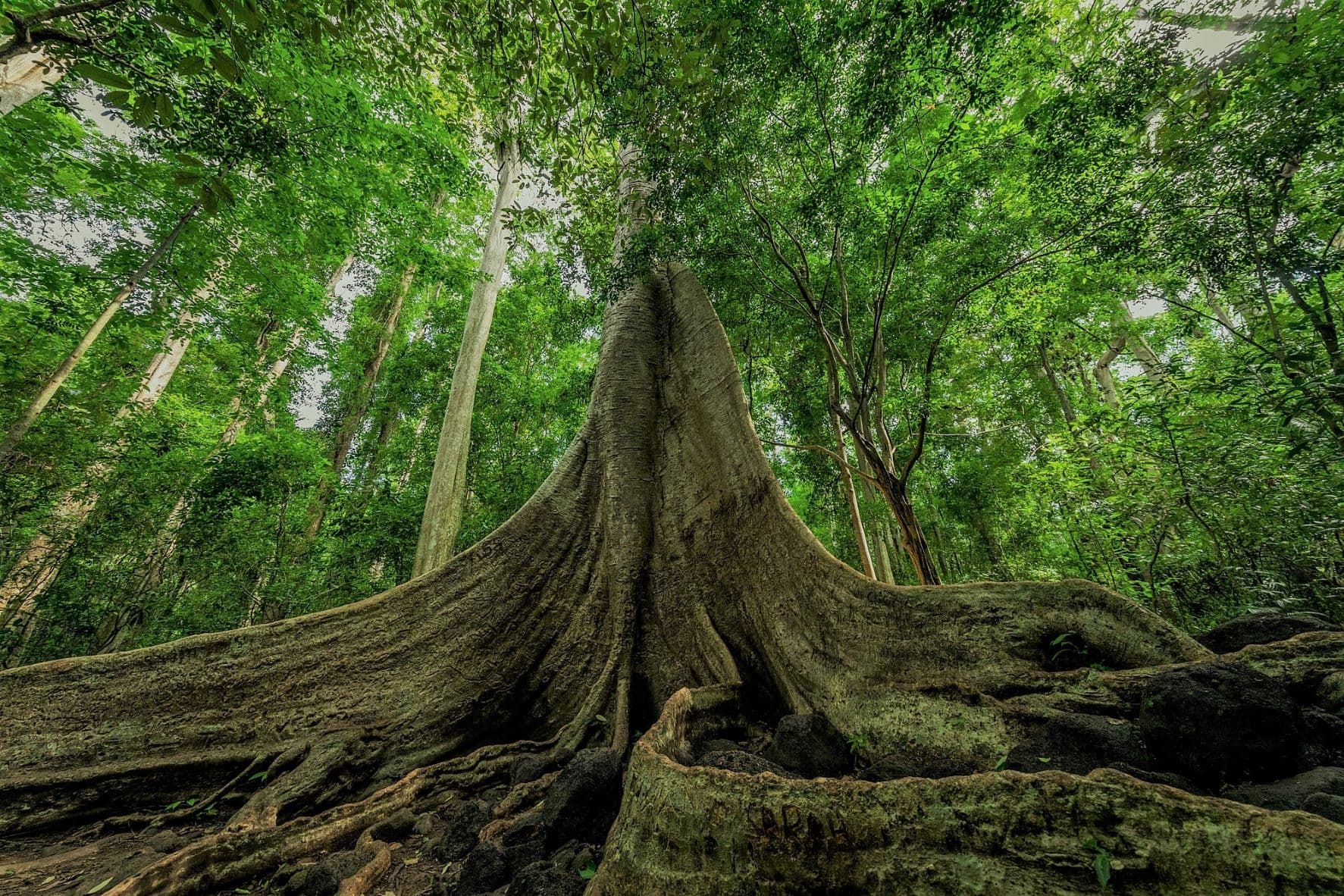 7 Trải Nghiệm Không Thể Bỏ Lỡ Ở Vườn Quốc Gia Cát Tiên