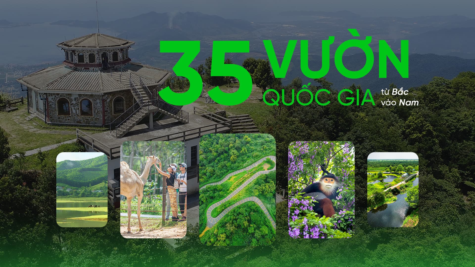 35 Vườn Quốc Gia Việt Nam: Hành Trình Khám Phá Thiên Nhiên Tuyệt Đẹp Từ Bắc Vào Nam