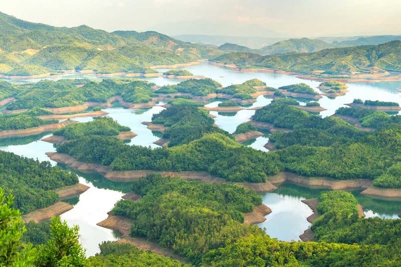 A First-Timer's Guide to Tà Đùng Trekking: The "Mini Hạ Long Bay" of the Highlands
