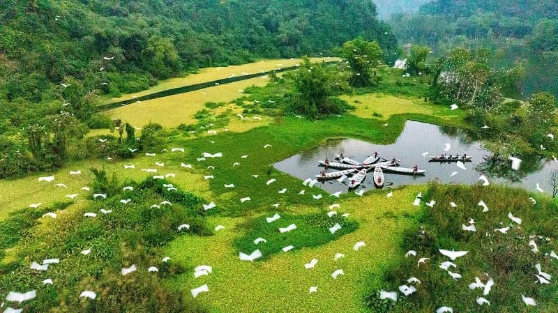 Sustainable &amp; Scenic: The Limestone Greenhouses Driving Ninh Binh Tourism