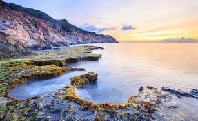 Coral Kingdoms: The Best Underwater Adventures in Ninh Thuan Diving