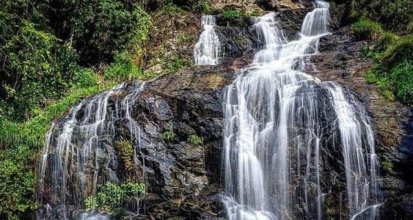 Vườn Quốc gia Tam Đảo: Cẩm nang trekking, tham quan &amp; các cung đường nổi bật