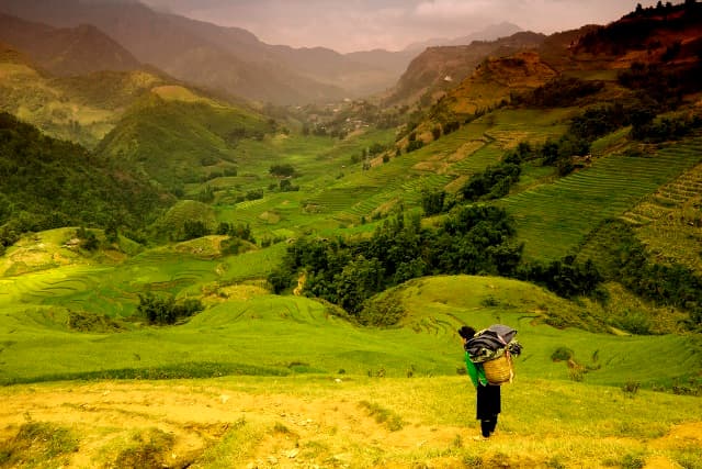 Amazing Walking Tours Sapa: Your Ultimate Guide to Secret Mountain Trails