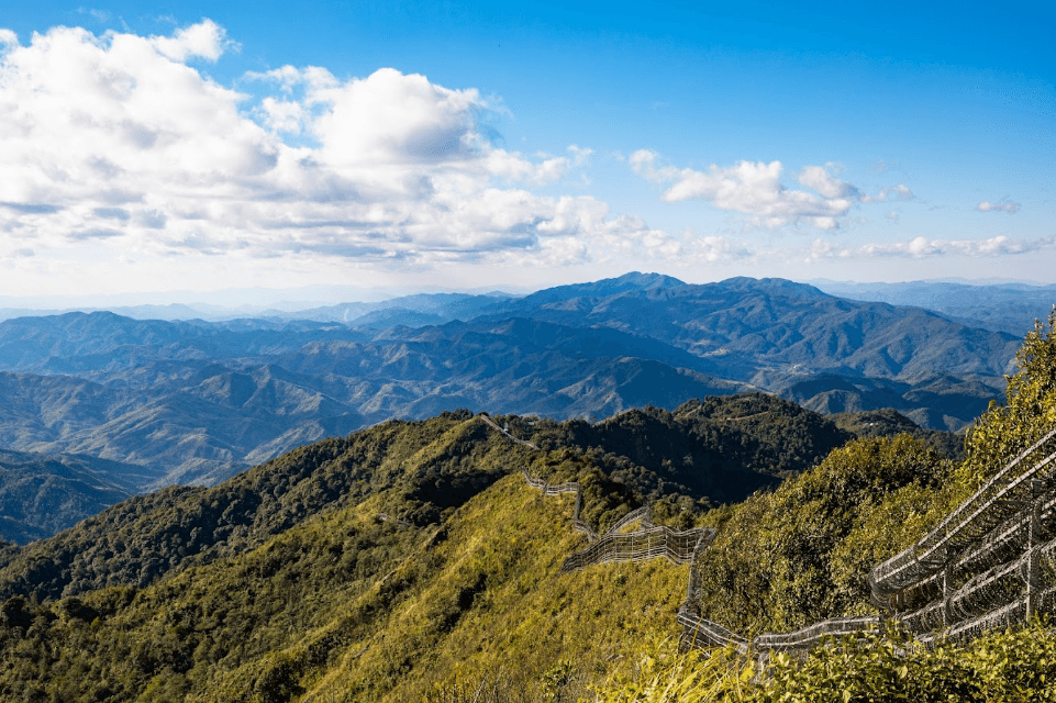 Complete Guide to Exploring Muong Nhe Nature Reserve, Where Vietnam - Laos - China Meet