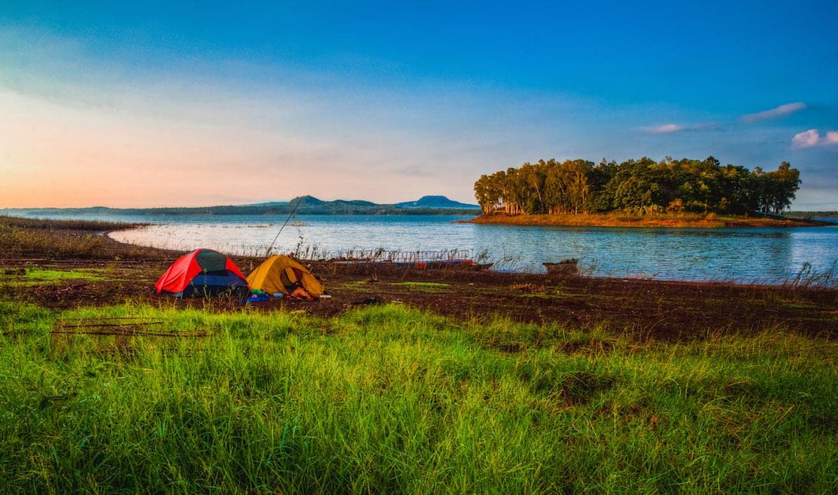 Ma Da Nature Reserve Guide: The Ultimate Secrets of Southern Vietnam's Green Lung, 80km from Saigon