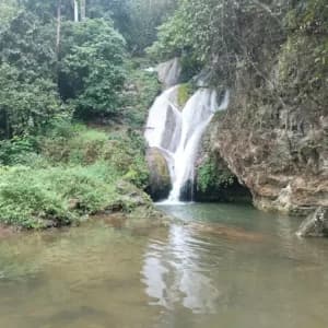 Khu Du lịch Sinh thái Thác Vàng Bo