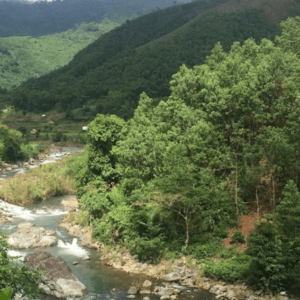 Khu bảo tồn thiên nhiên Kon Chư Răng