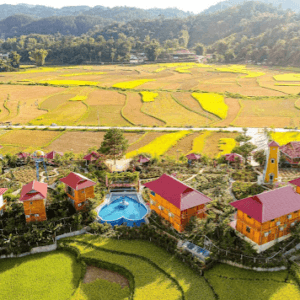 Love Hill Homestay (Đồi tình yêu)