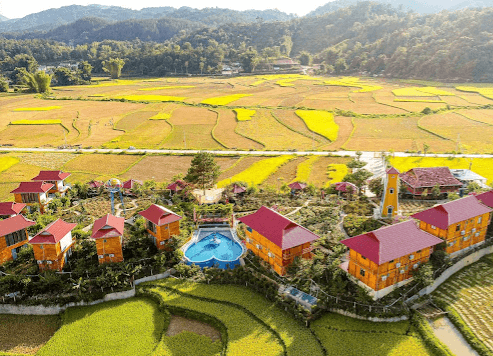 Love Hill Homestay (Đồi tình yêu)