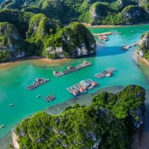 Làng chài Vung Viêng