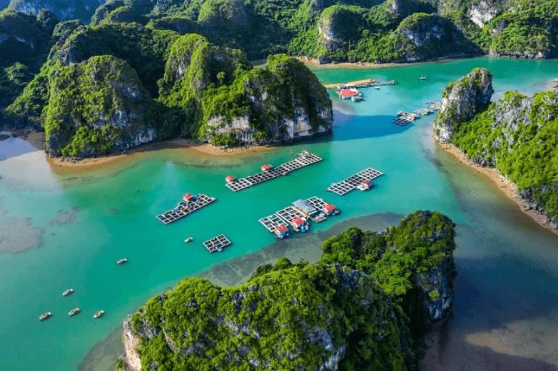 Làng chài Vung Viêng