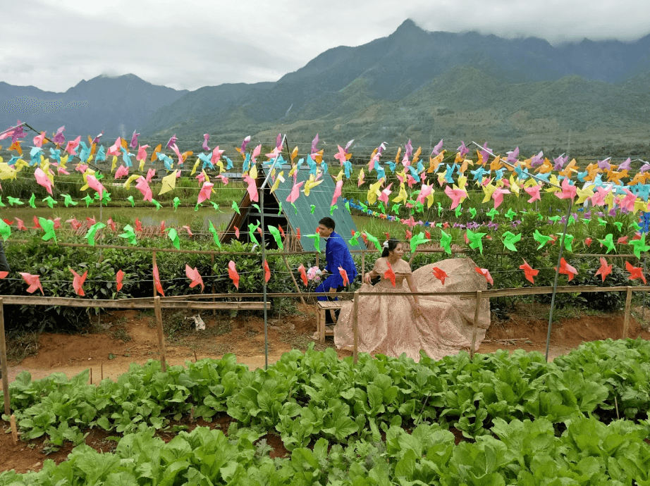 Nông trại Tân Châu