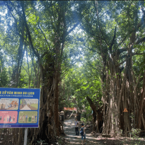 Quần thể đa búp đỏ đảo Dấu