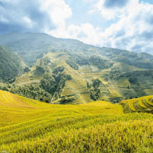 Đồi Mâm Xôi bé - Mù Cang Chải - Yên Bái