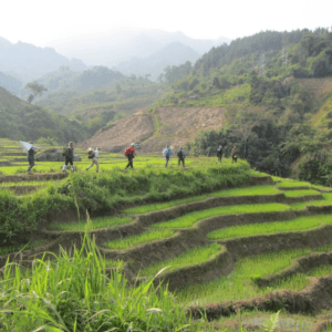 Ruộng Bậc Thang Long Năng - Đắk Glei - Kon Tum