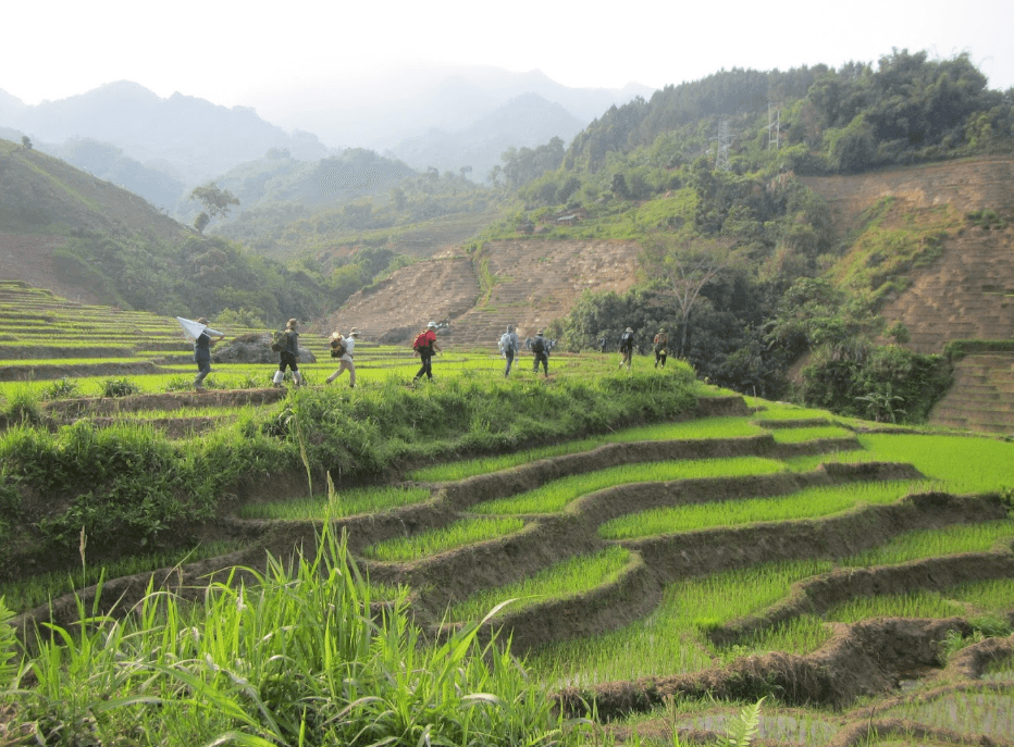 Ruộng Bậc Thang Long Năng - Đắk Glei - Kon Tum