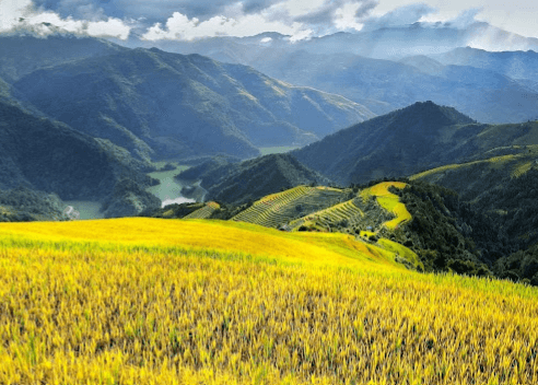 Nơi háng phù loa