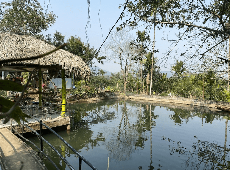 Du Lịch Sinh Thái Hồng Điều