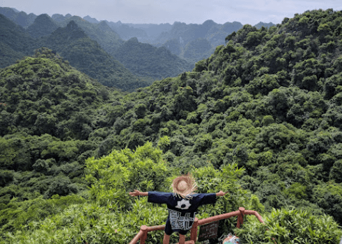 Đỉnh Ngự Lâm