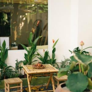 Nhà Mơ Homestay Bến Tre