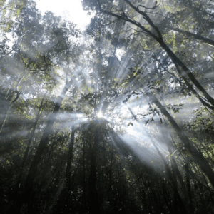 Trekking Đỉnh Hòn Giao