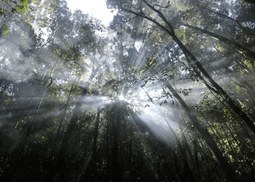 Trekking Đỉnh Hòn Giao