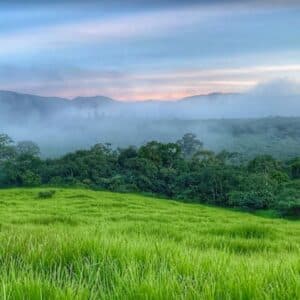 Đồi Cỏ Măng Đen