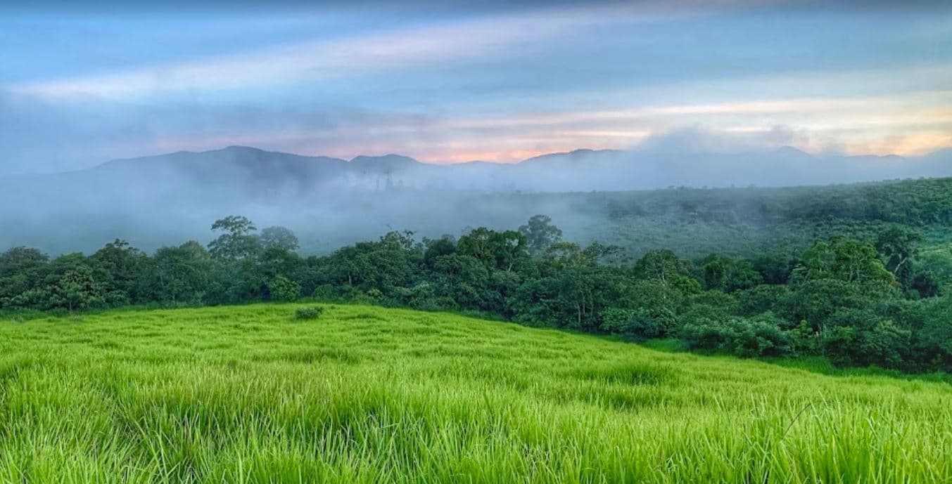 Đồi Cỏ Măng Đen
