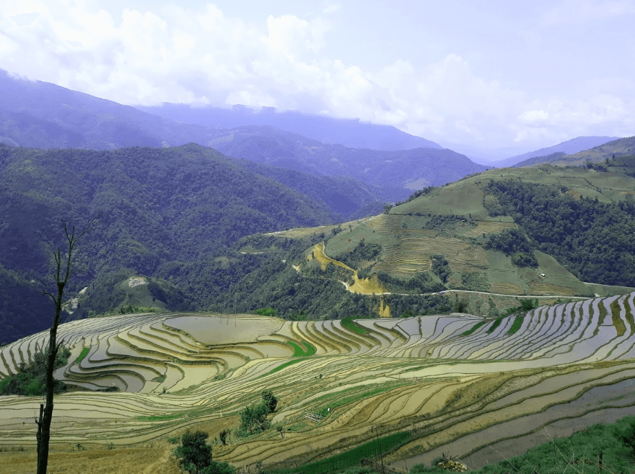 Ruộng Bậc Thang Thu Lũm