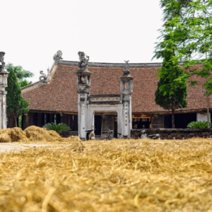 Làng cổ Đường Lâm