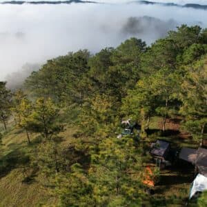 Cắm Trại Đồi Thông (hướng Laan)