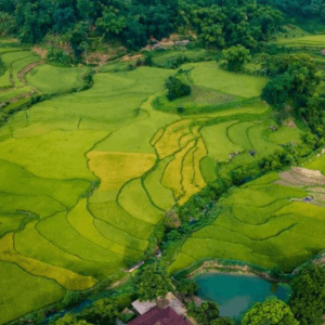 Thôn Khuổi Tích - Na Hang - Tuyên Quang
