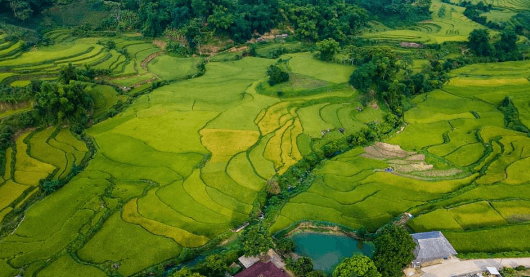 Thôn Khuổi Tích - Na Hang - Tuyên Quang