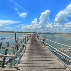 Cầu gỗ Ông Cọp