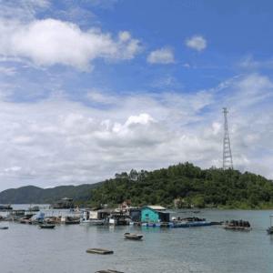 Cầu cảng Ngọc Vừng