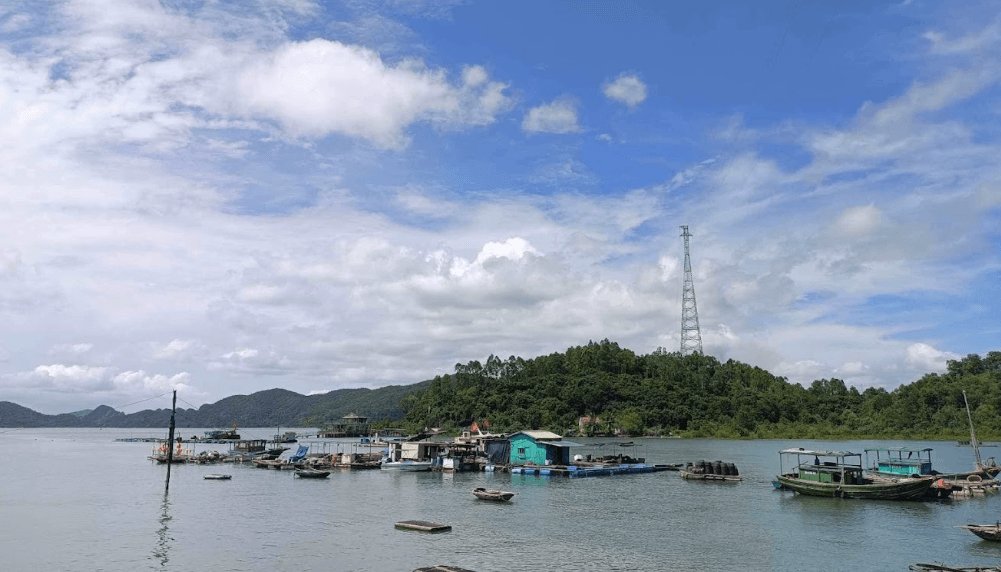 Cầu cảng Ngọc Vừng