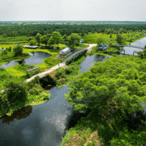 Vườn quốc gia U Minh Thượng