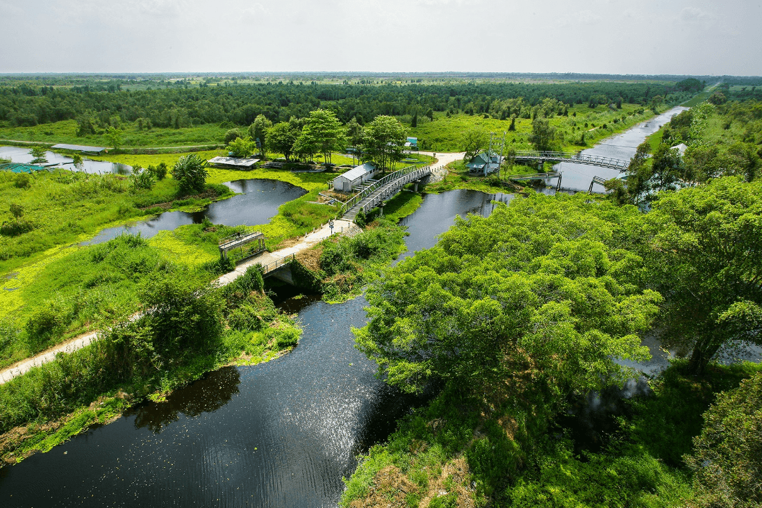 Vườn quốc gia U Minh Thượng