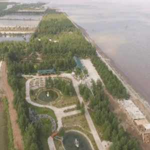 Bãi biển cồn Đen