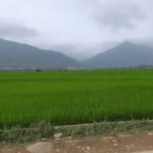 Sông Mưa - Mộc Châu - Sơn La