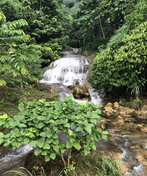 Thác Pác Hẩu