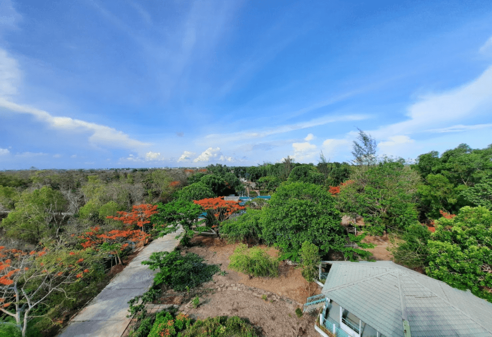Vườn chim Bạc Liêu
