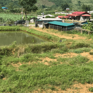 Trang trại Xanh - Lai Châu