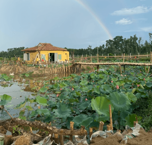 Khu Sinh Thái Bầu Sen Thượng - Ngoại Tôi