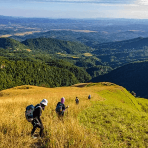 Trekking Đỉnh Phia Po
