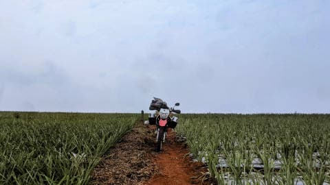 Nông Trường Vân Du