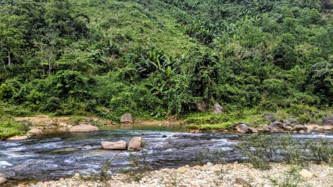 Cắm Trại Bờ Suối Trà Giác
